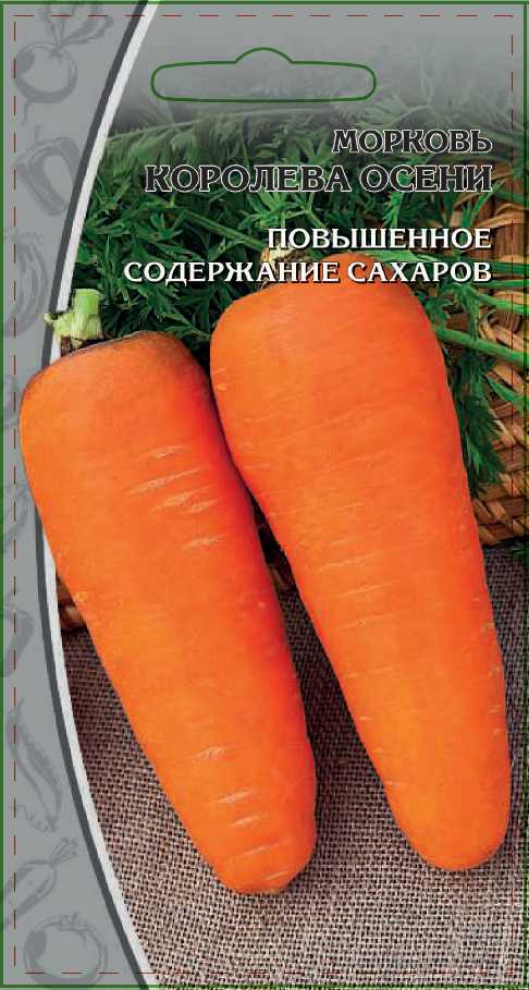 Морковь КОРОЛЕВА ОСЕНИ-ov.jpg