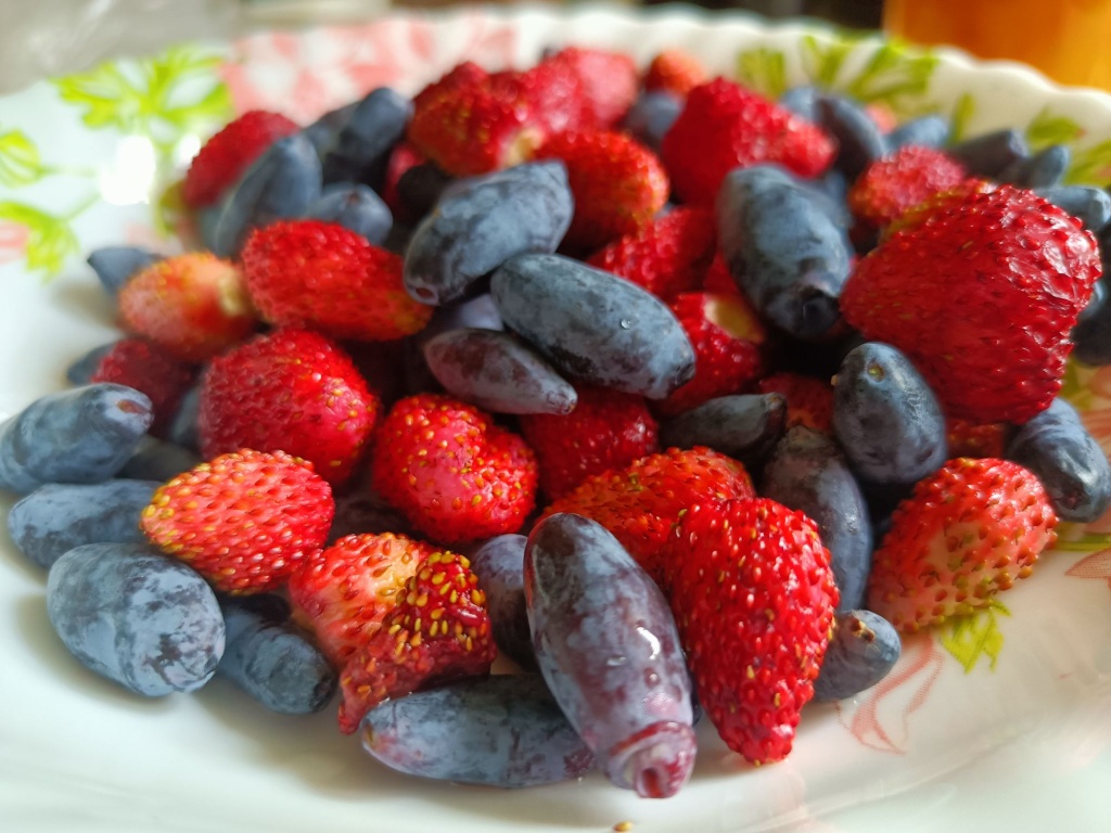 Жимолость и земляника.jpg