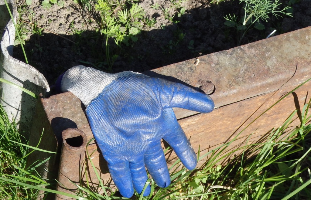 перчатка с латексом.JPG