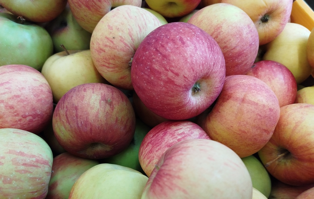 Яблоки Ветеран.jpg