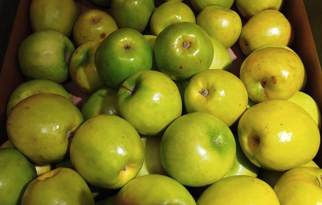Яблоки Гренни Смит.jpg