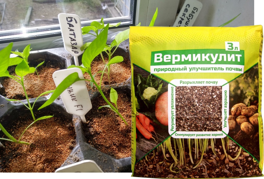 вермикулит коллаж.jpg