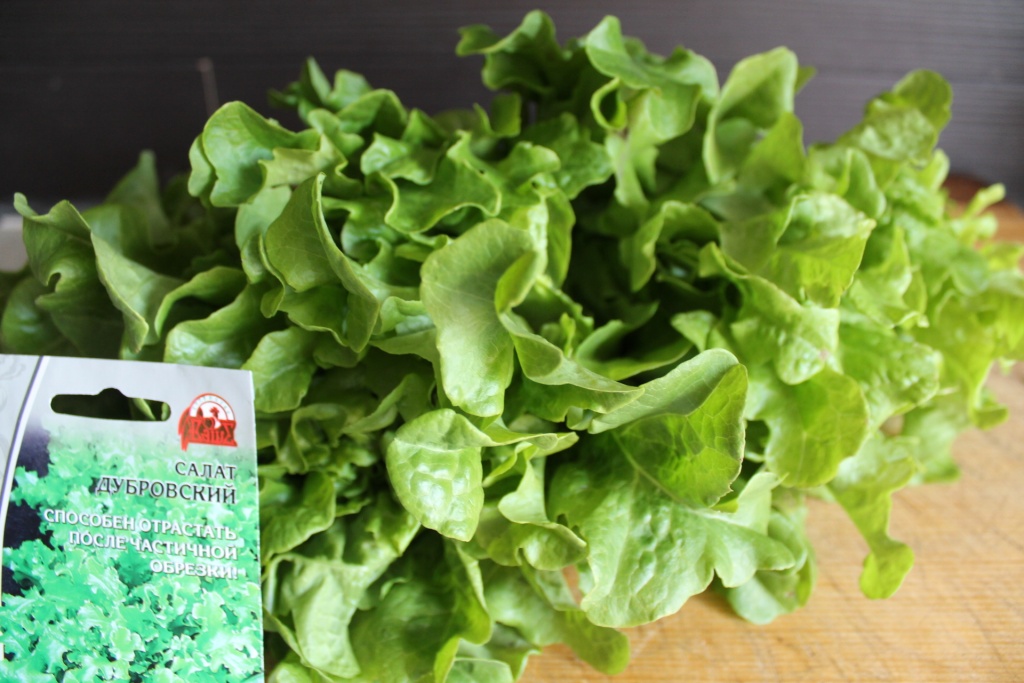 Дубровский” — дуболистный салат с нежными листьями