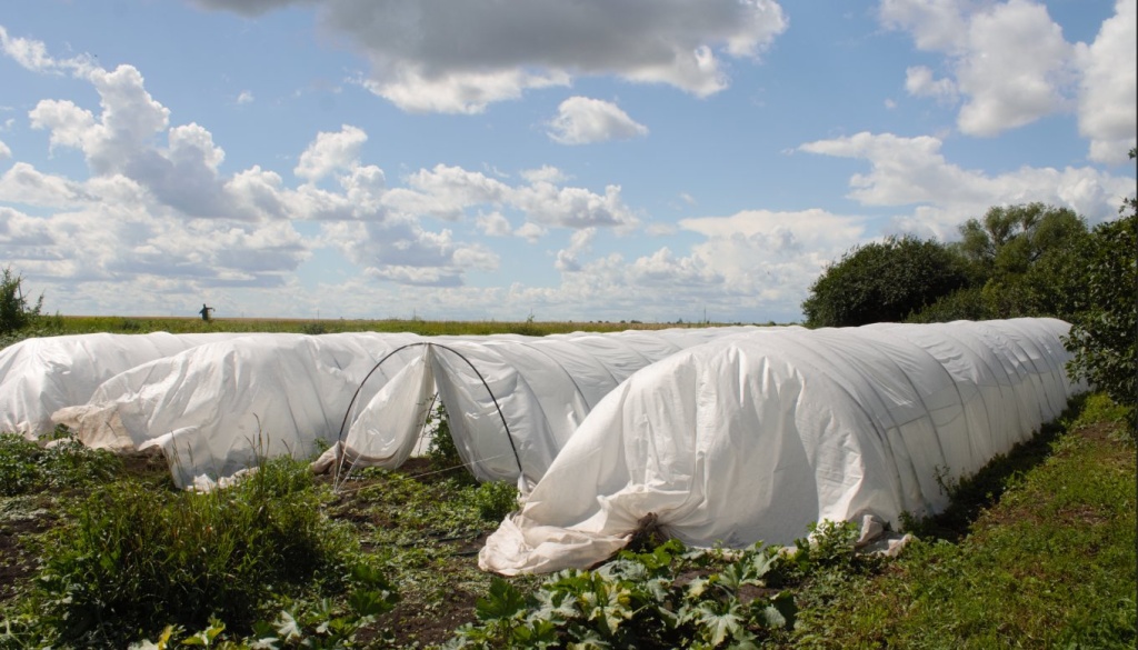 теплица спанбонд.jpg теплица спанбонд.jpg