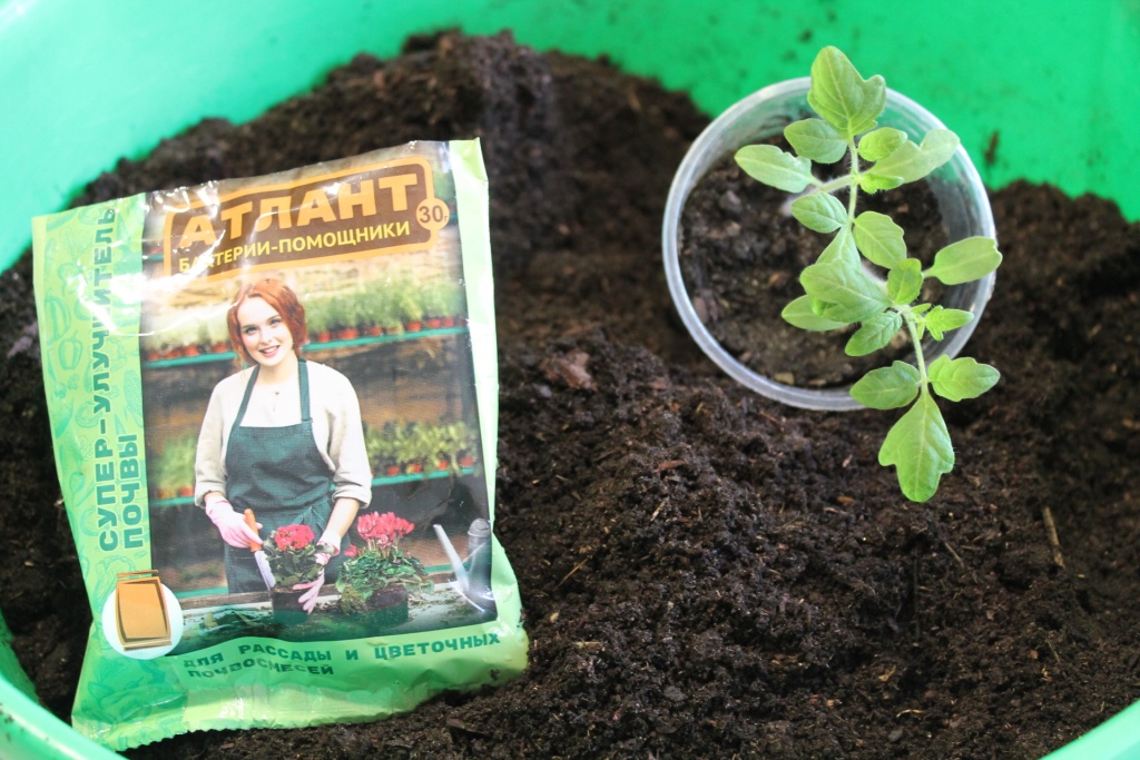 Биопрепарат Атлант Бактерии помощники, добавляем в грунт для рассады.JPG