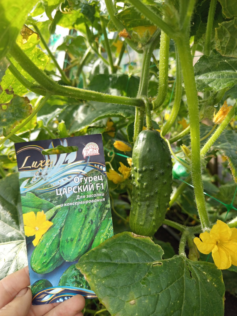 Как будто с картинки.jpg