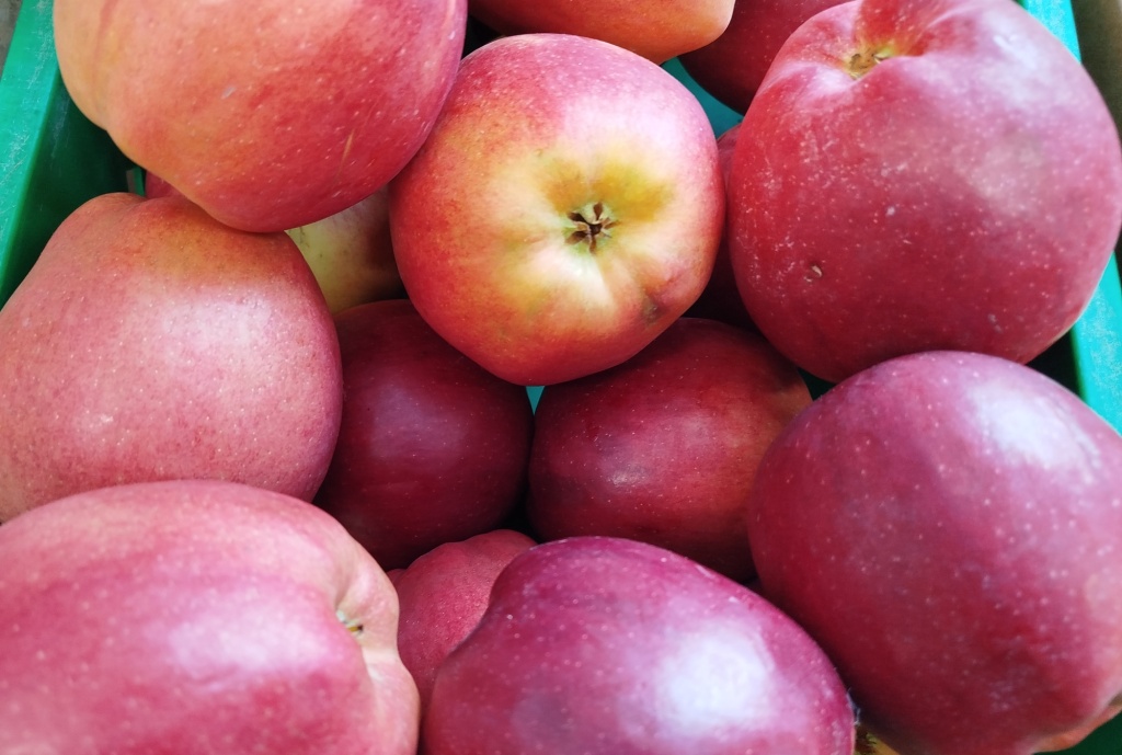 Яблоки Лигол.jpg