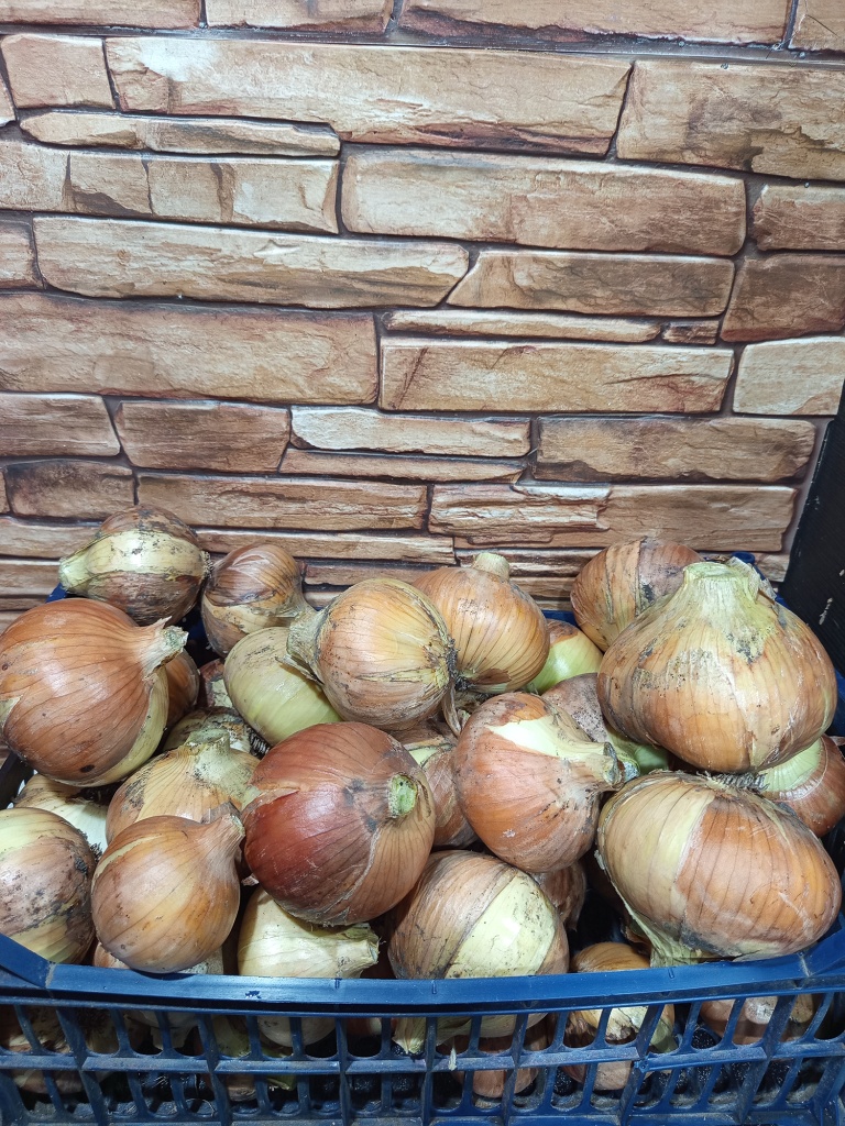 урожай с одного пакетика семян, 15 кг отборного лука.jpg