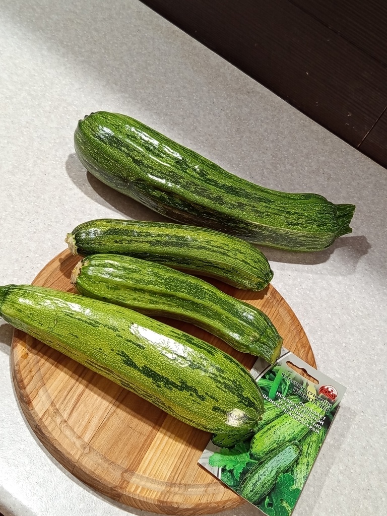 Нарядные цуккини с глянцевой кожицей.jpg