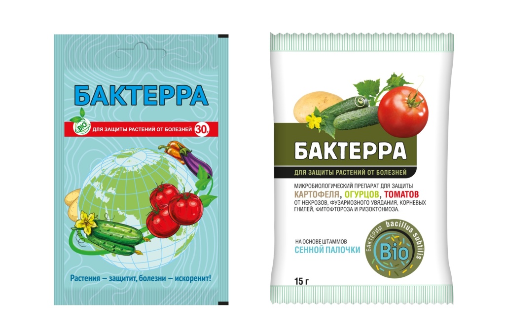 Бактерра, два дизайна.jpg