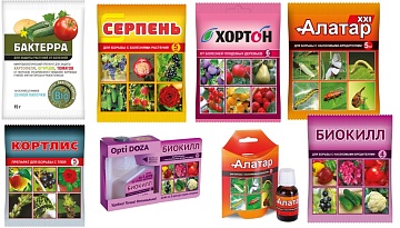 Препараты-обереги от болезней и вредителей для сада и огорода