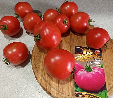 Томат Падишах — это нечто! Отменный вкус и мега урожай