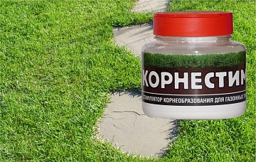 Нужен густой и плотный газон? Усильте корневую систему!