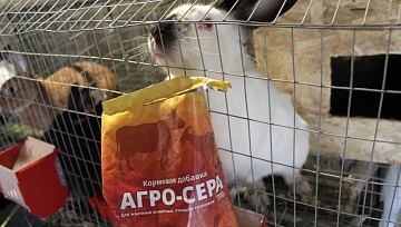 Сера в рационе скота и домашней птицы