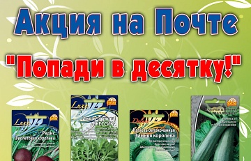 Покупка семян приносит урожай и призы!