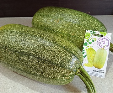 Кабачок Кулинарный — польза для здоровья, минимум усилий