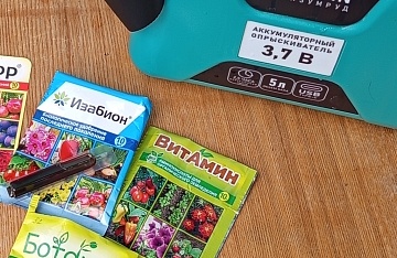 Не только азот и фосфор: чем полезны аминокислоты для растений и как их применять