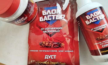 «Блокбастер» - крутой сюжет для тараканов!