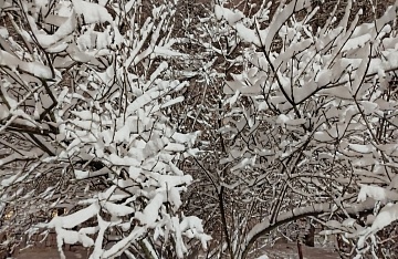 Работы на даче в январе