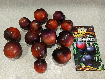 Черные помидоры Нуар Коктейль F1 — для искушенных огородников