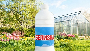 «Белизна» на участке: 7 применений, о которых знают не все