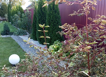 Как грамотно обустроить длинный и узкий участок?