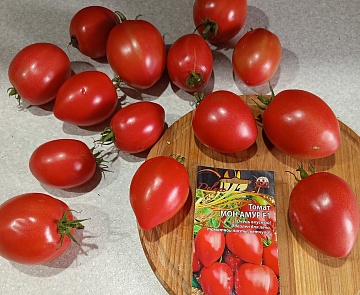 Томат Мон Амур F1 — любовь с первого взгляда