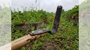 Плоскорез Фокина — для работы в огороде без боли в спине