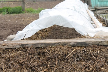 Как быстро прогреть холодные грядки весной