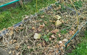 Генеральная уборка на огороде — прочь ботву и сорняки