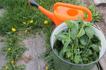 Сорняки – не мусор: что с ними делать на даче и в огороде