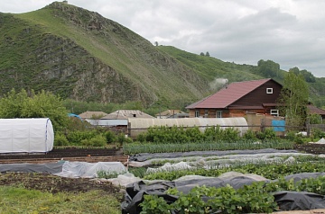 Красивый огород — это возможно