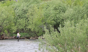 Рыбалка на даче: как завести рыбу в маленьком дачном водоеме