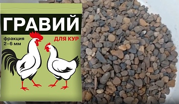 Гравий — обязательная добавка к рациону кур и другой домашней птицы