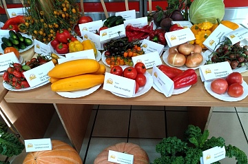 Выставка новых сортов овощей от компании «Ваше хозяйство»