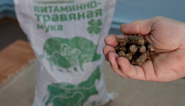Витаминно-травяная мука в зимнем рационе скота и домашней птицы