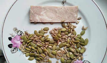 Чем заменить мясо? Растения-рекордсмены по содержанию белка