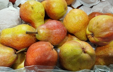 Гид по сортам груш из супермаркетов: описание и вкус