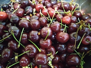 Топ-5 плодовых и ягодных гибридов для средней полосы